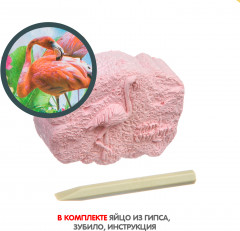 Набор для раскопок «Фламинго» - Фото 7