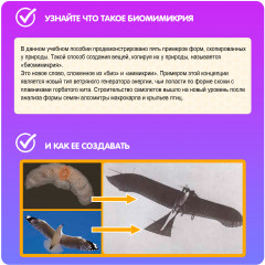 Набор для опытов «Биомимикрия» - Фото 4