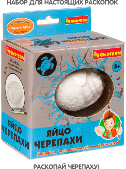 Раскопки исторические «Яйцо черепахи»