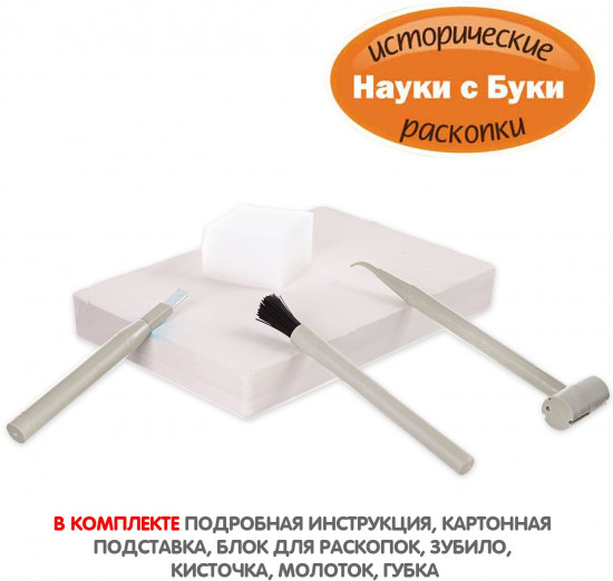 Набор для раскопок «Насекомые»