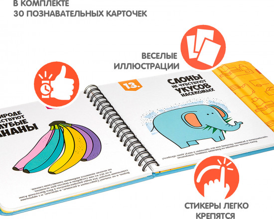 Мини-игры в дорогу «Верю-не верю»