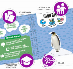 Изучаем плавающих и летающих животных - Фото 2