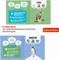 Изучаем плавающих и летающих животных - Фото 4