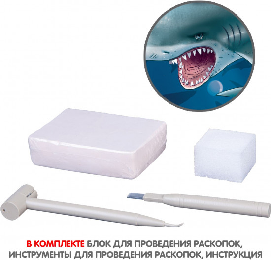 Набор для раскопок «Зуб акулы»