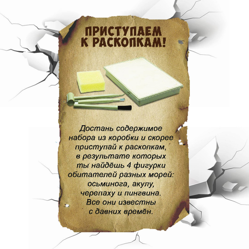 Набор для раскопок «Зуб акулы» | Науки с Буки. Исторические раскопки | Bondibon | Фото 4