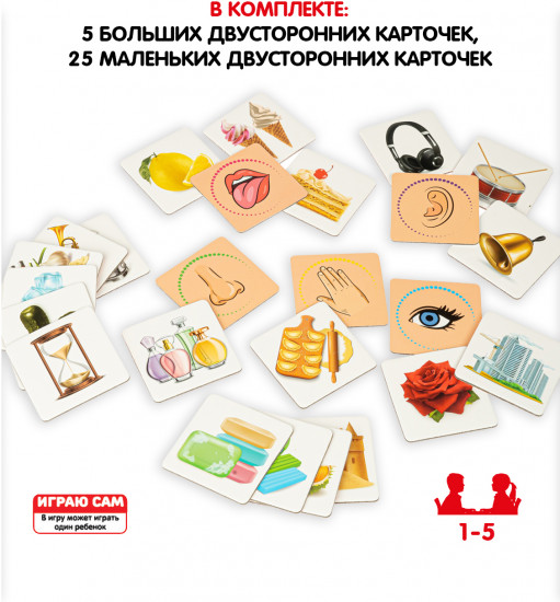 Лото «Вижу. Слышу. Чувствую!»