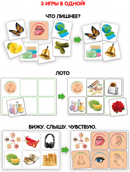 Лото «Вижу. Слышу. Чувствую!»