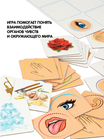 Лото «Вижу. Слышу. Чувствую!»