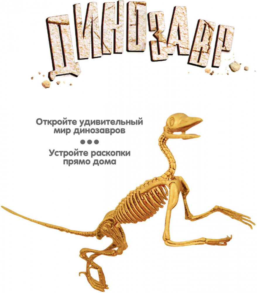 Набор палеонтолога «Динозавр Археоптерикс» | Исторические раскопки Науки с Буки | Bondibon | Фото 7