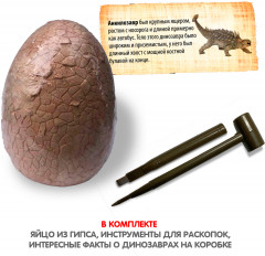Набор юного археолога «Яйцо динозавра» - Фото 3
