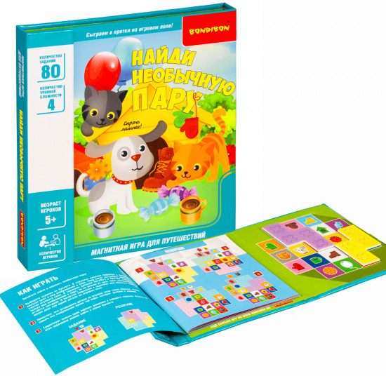 Игра магнитная «Найди необычную пару»