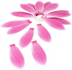 Набор для творчества «Сад цветов 3D» - Фото 5