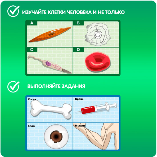 Набор для опытов «Клетки»