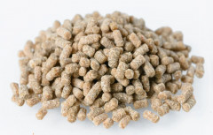 Корм для рыб «Гран-При 2» - Фото 1