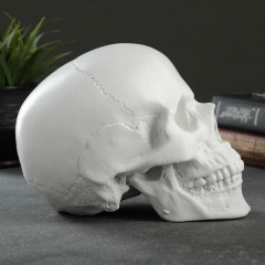 Копилка «Череп» - Фото 3