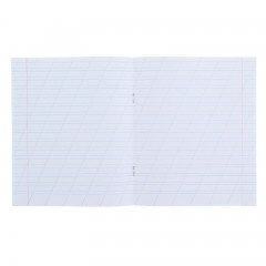 Тетрадь «Зелёная обложка», 12 листов, косая линейка с полями (10 штук) - Фото 2