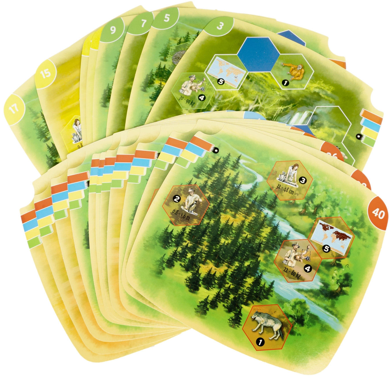 Игра логическая «Фауна» | Настольные игры | Bondibon | Фото 2