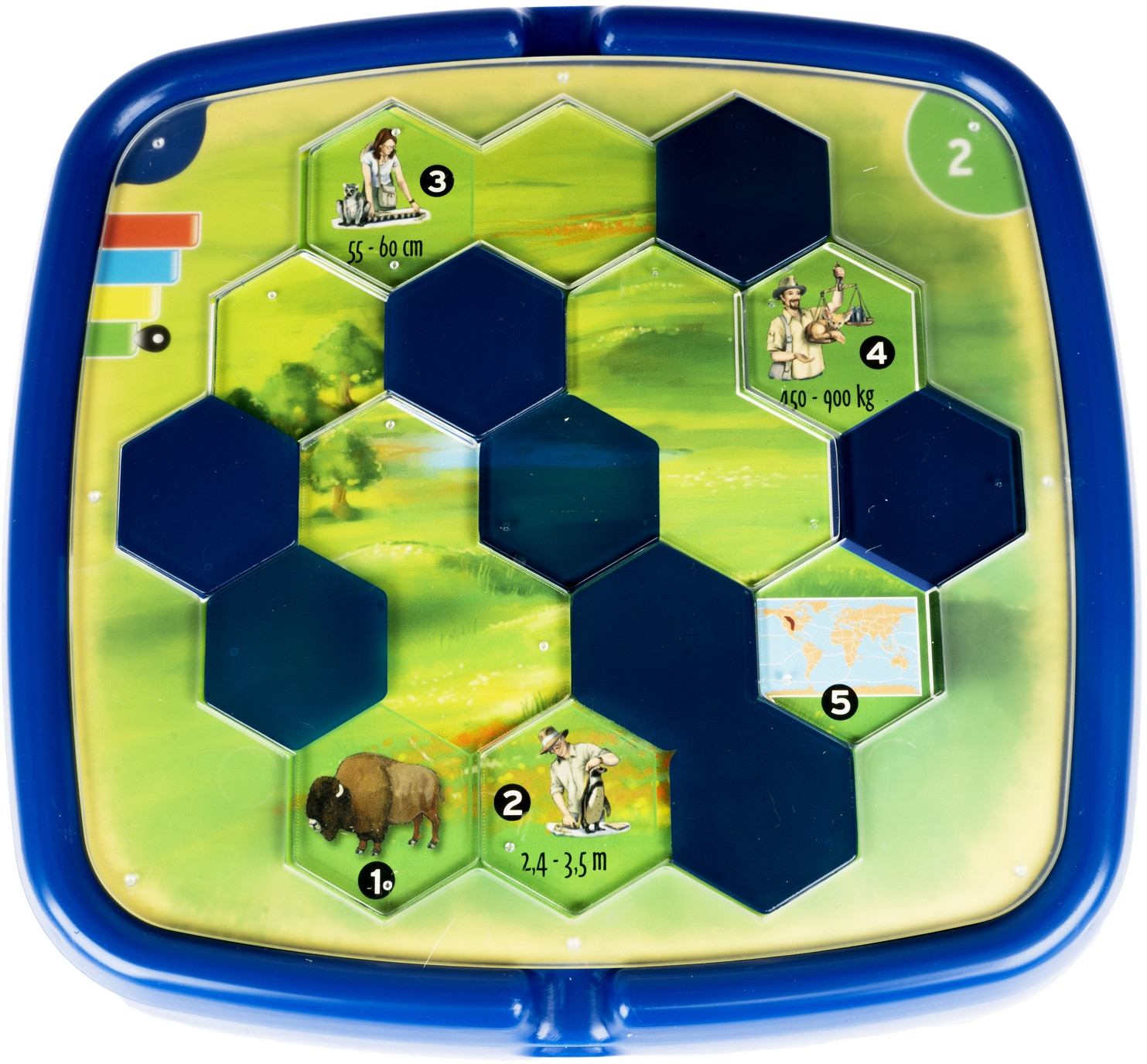 Игра логическая «Фауна» | Настольные игры | Bondibon | Фото 4