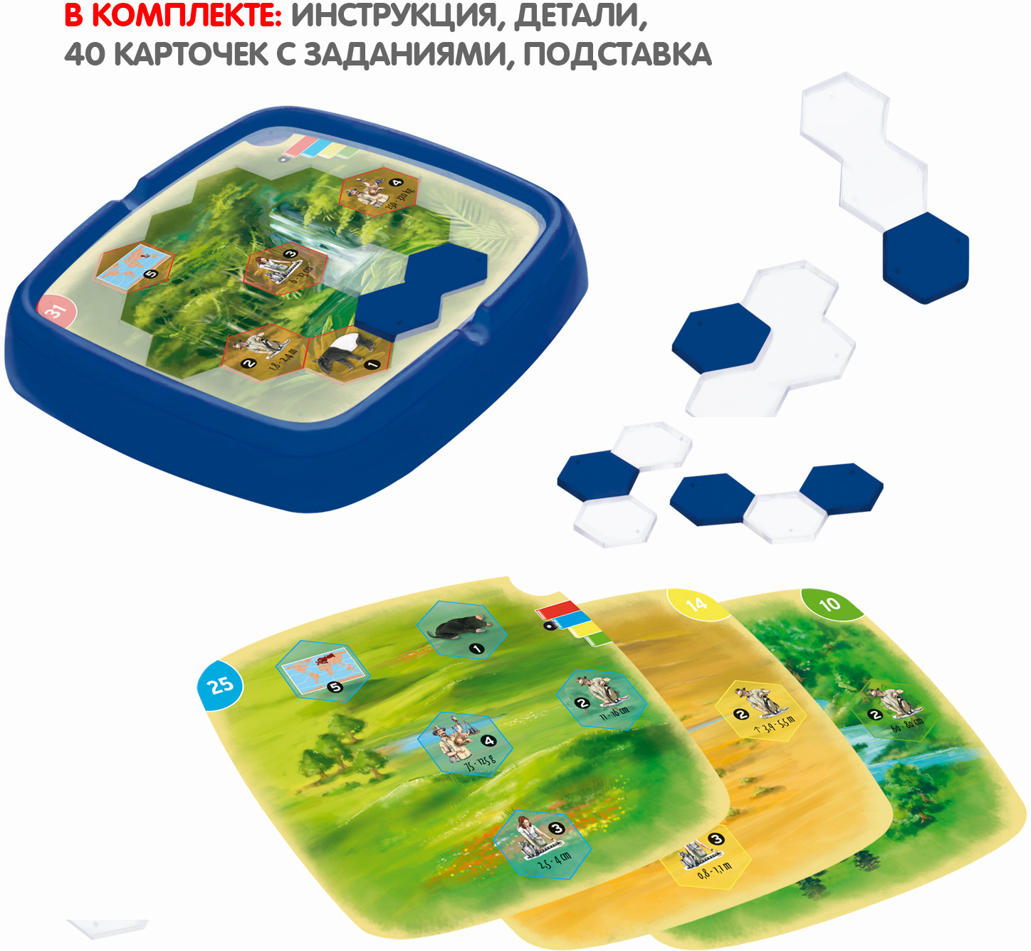 Игра логическая «Фауна» | Настольные игры | Bondibon | Фото 6