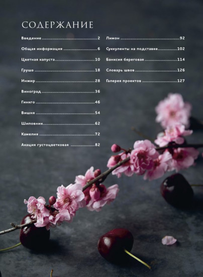 Botanica. 12 авторских дизайнов