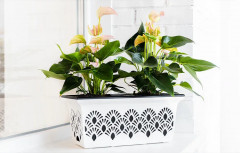 Система кашпо - Фото 3