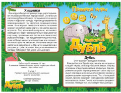 Игра настольная «Животные» - Фото 7