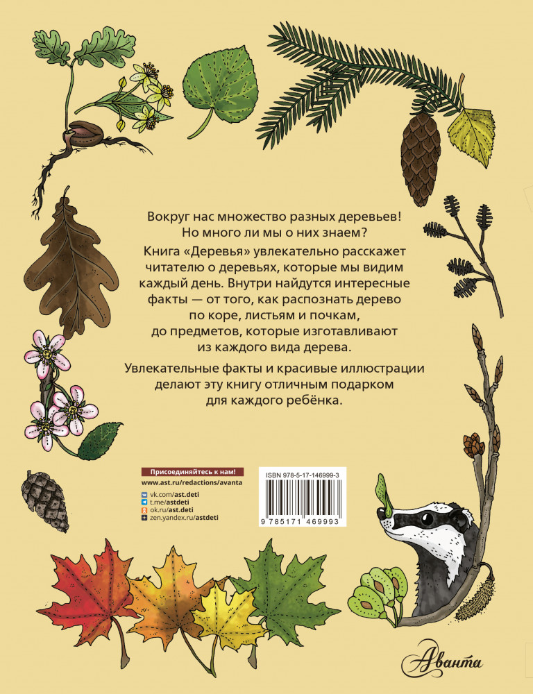 Деревья | Моя первая книга | Фото 1