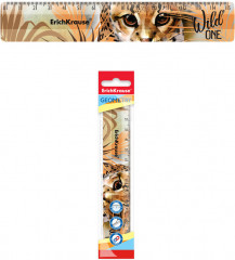 Линейка - Фото 1