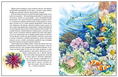 Тихий океан
