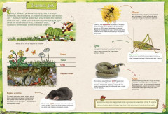 Петсон и Финдус изучают животных - Фото 2