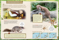 Петсон и Финдус изучают животных - Фото 3