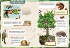 Петсон и Финдус изучают животных - Фото 4