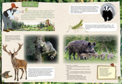 Петсон и Финдус изучают животных - Фото 5