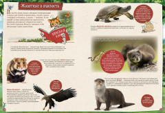 Петсон и Финдус изучают животных - Фото 6