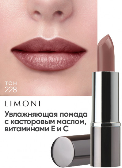 Помада для губ «Lipstick», тон 228