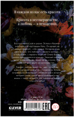 Падающая звезда - Фото 1