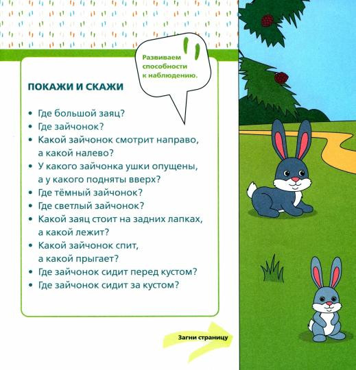 Лесные зверята