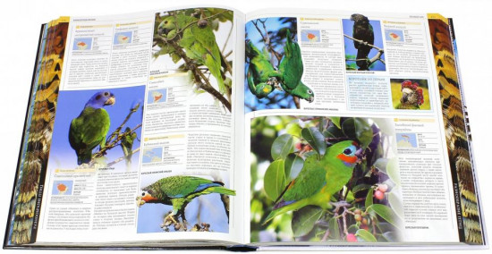 Птицы. Полная иллюстрированная энциклопедия