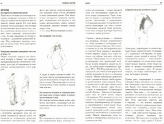 Как читать людей. Расшифровка скрытого смысла. 1000 жестов, поз и мимики - Фото 1