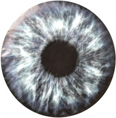 Чехол запасного колеса «Глаз» - Фото 1