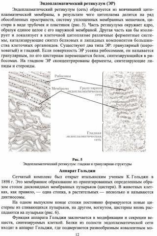 Биотехнология. Основы биологии