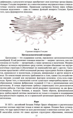 Биотехнология. Основы биологии