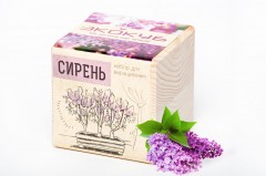Набор для выращивания «Сирень» - Фото 1