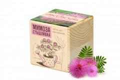 Набор для выращивания «Мимоза» - Фото 1