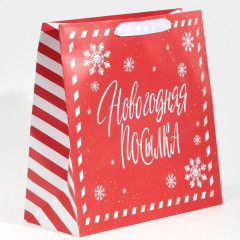 Пакет подарочный «Package» - Фото 1