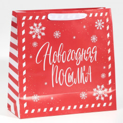 Пакет подарочный «Package» - Фото 2