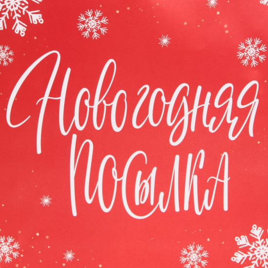 Пакет подарочный «Package»
