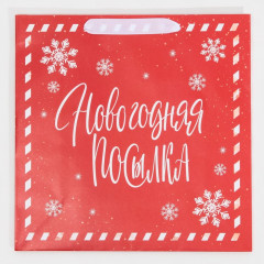 Пакет подарочный «Package» - Фото 5