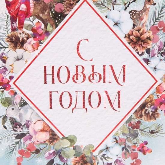 Пакет подарочный «Snow»
