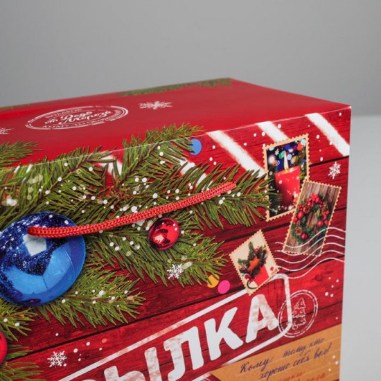 Пакет-коробка «Новогодняя посылка»